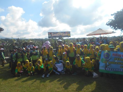 DSCN3387